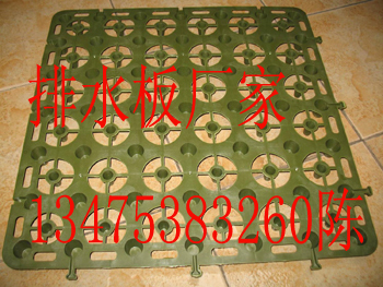 濟(jì)南排水板廠家解析 蓄排水板價(jià)格與建筑建材應(yīng)用